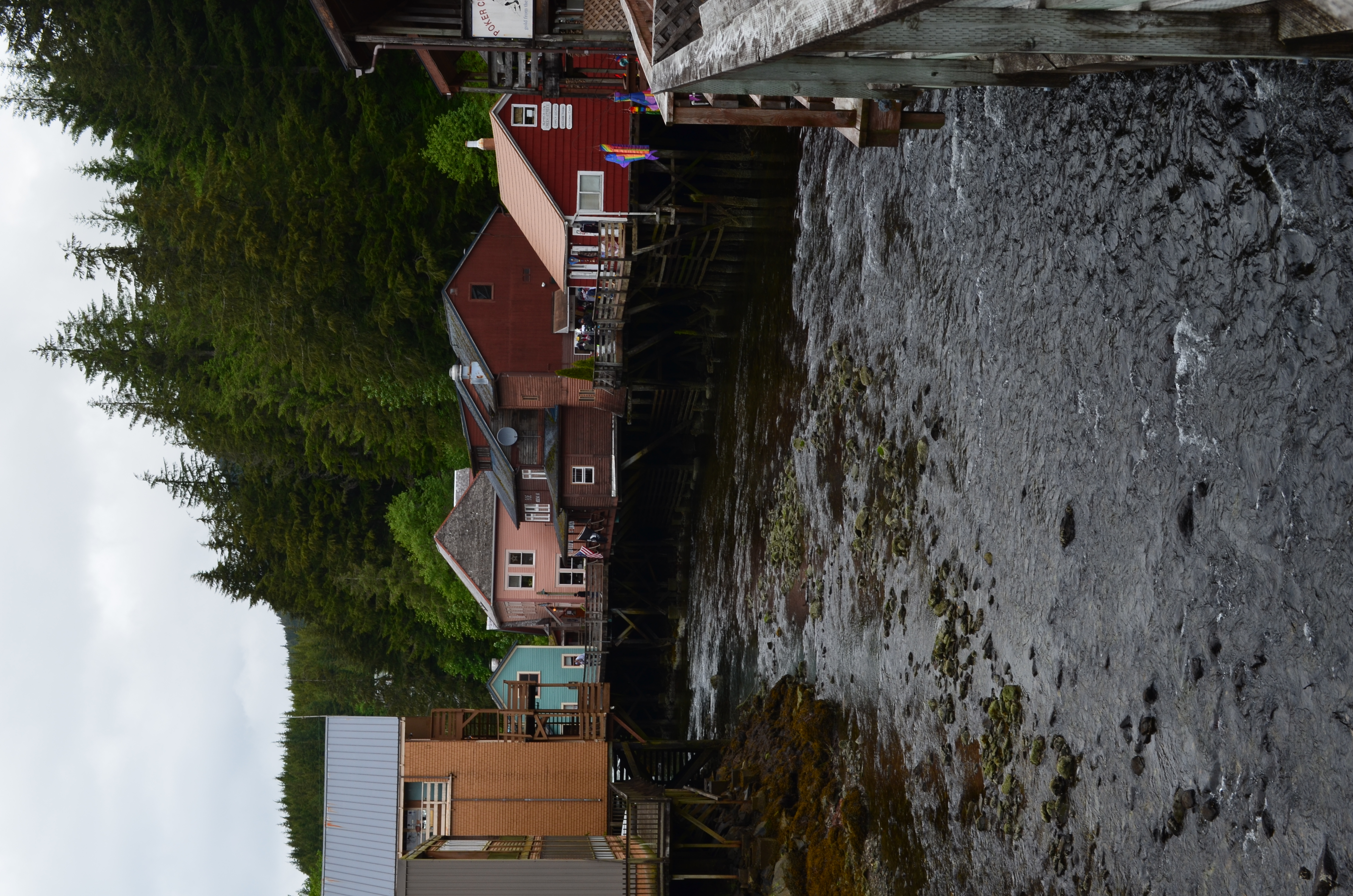 ./2017/08 - Alaska Cruise/11 - Ketchikan/DSC_0457.JPG